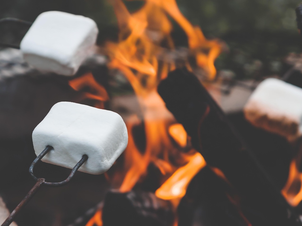 Marshmallows roasting over a campfire during a quiet evening at Journey's RV Park in Temple, Texas